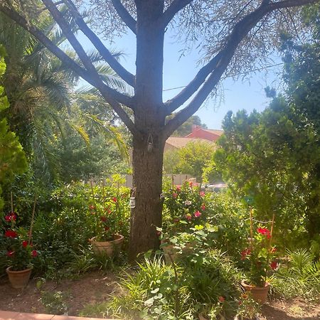 Superbe Rez-De-Villa 6P Calme & Plage A Pied Льо Праде Екстериор снимка